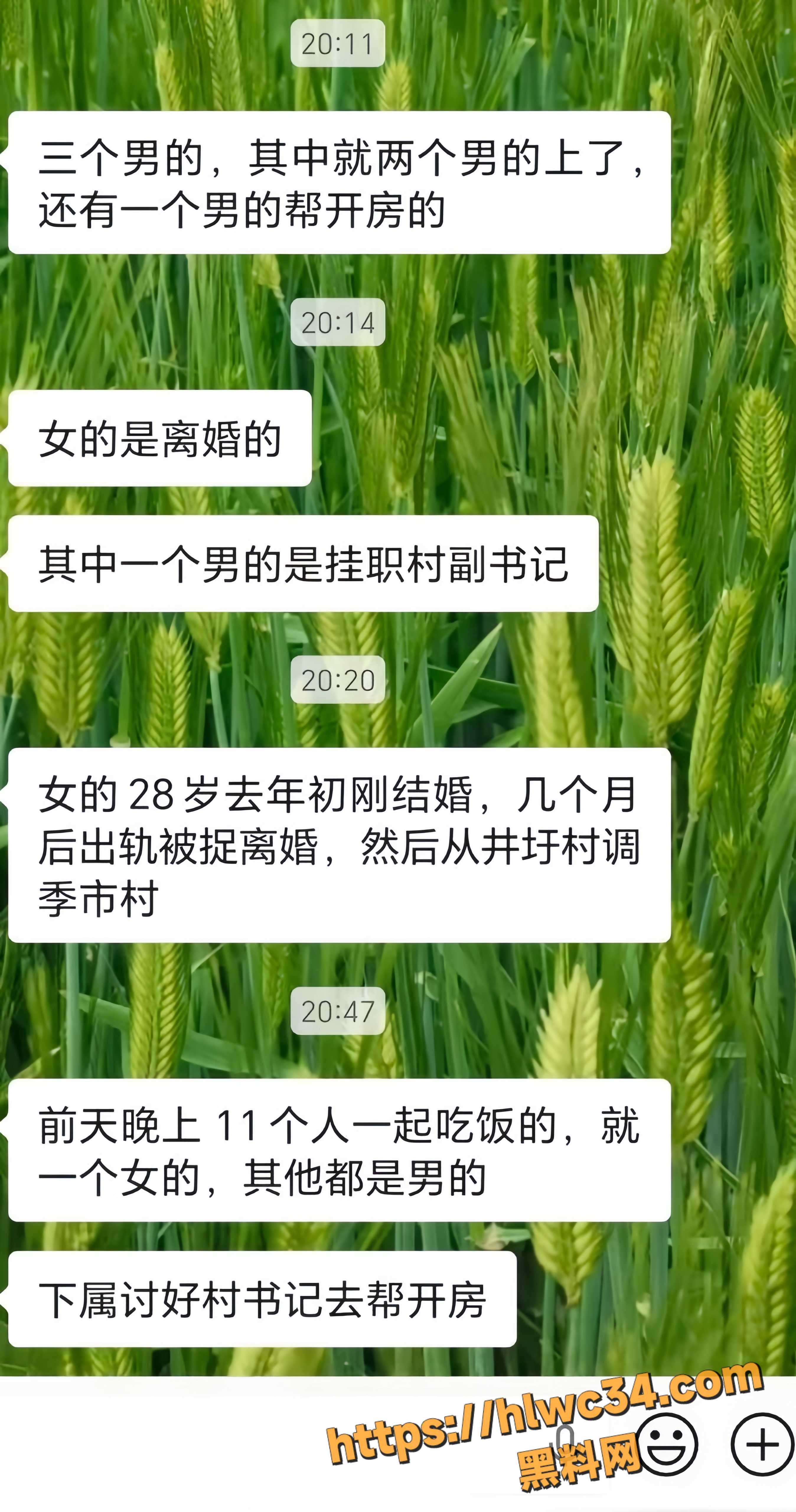 赵燚轮奸女村干部视频7