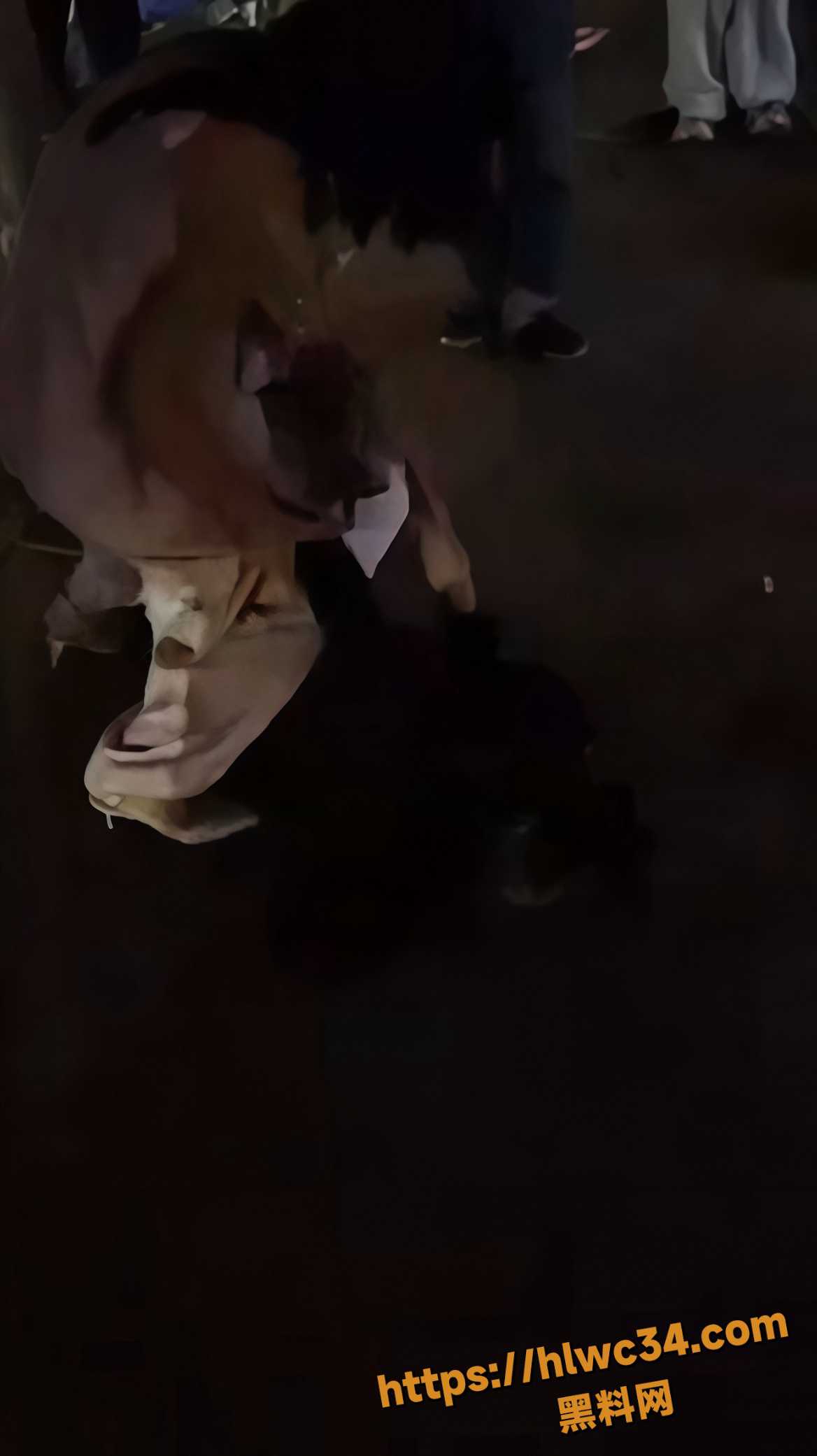 街头互殴5