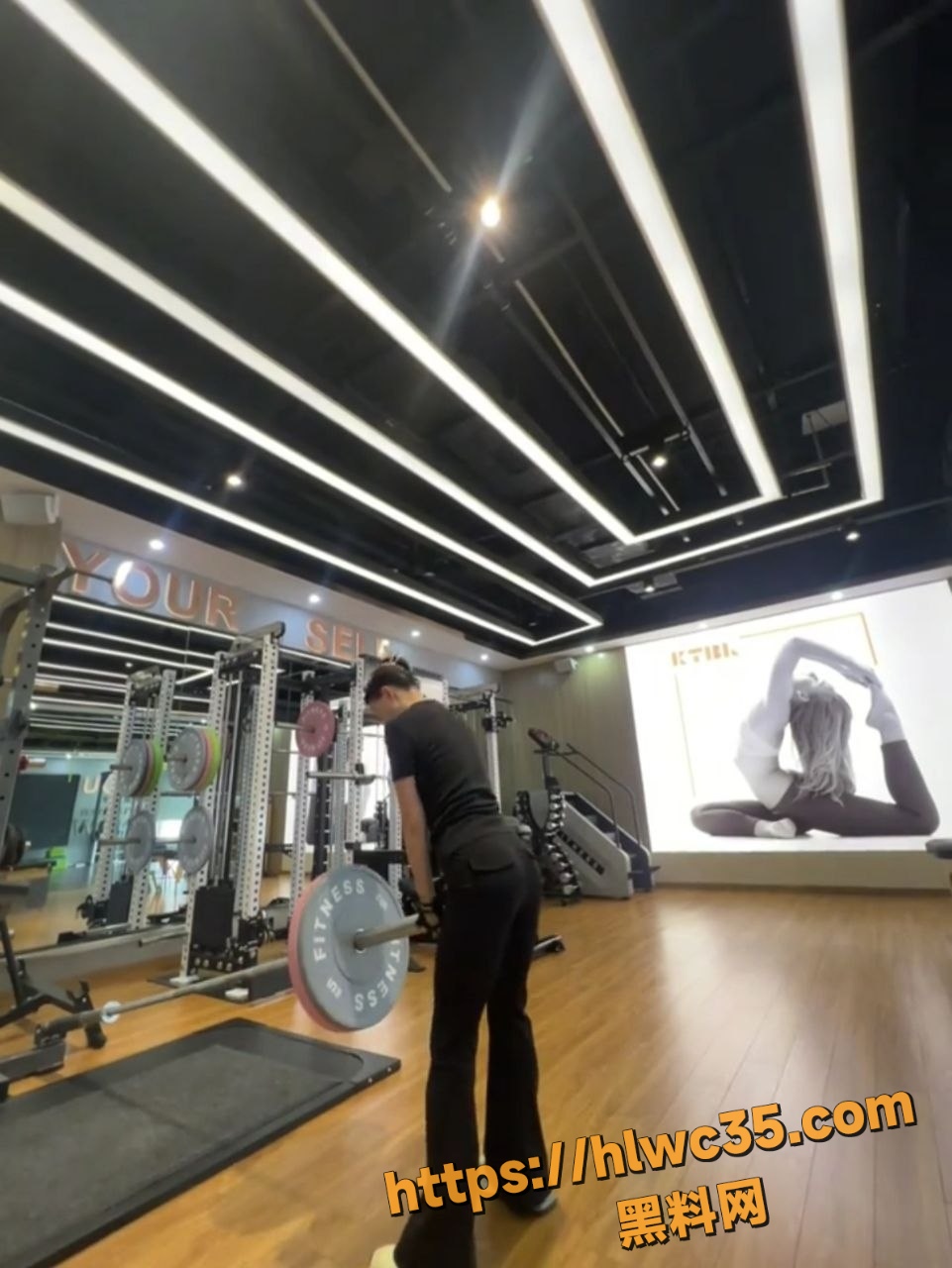 绍兴8