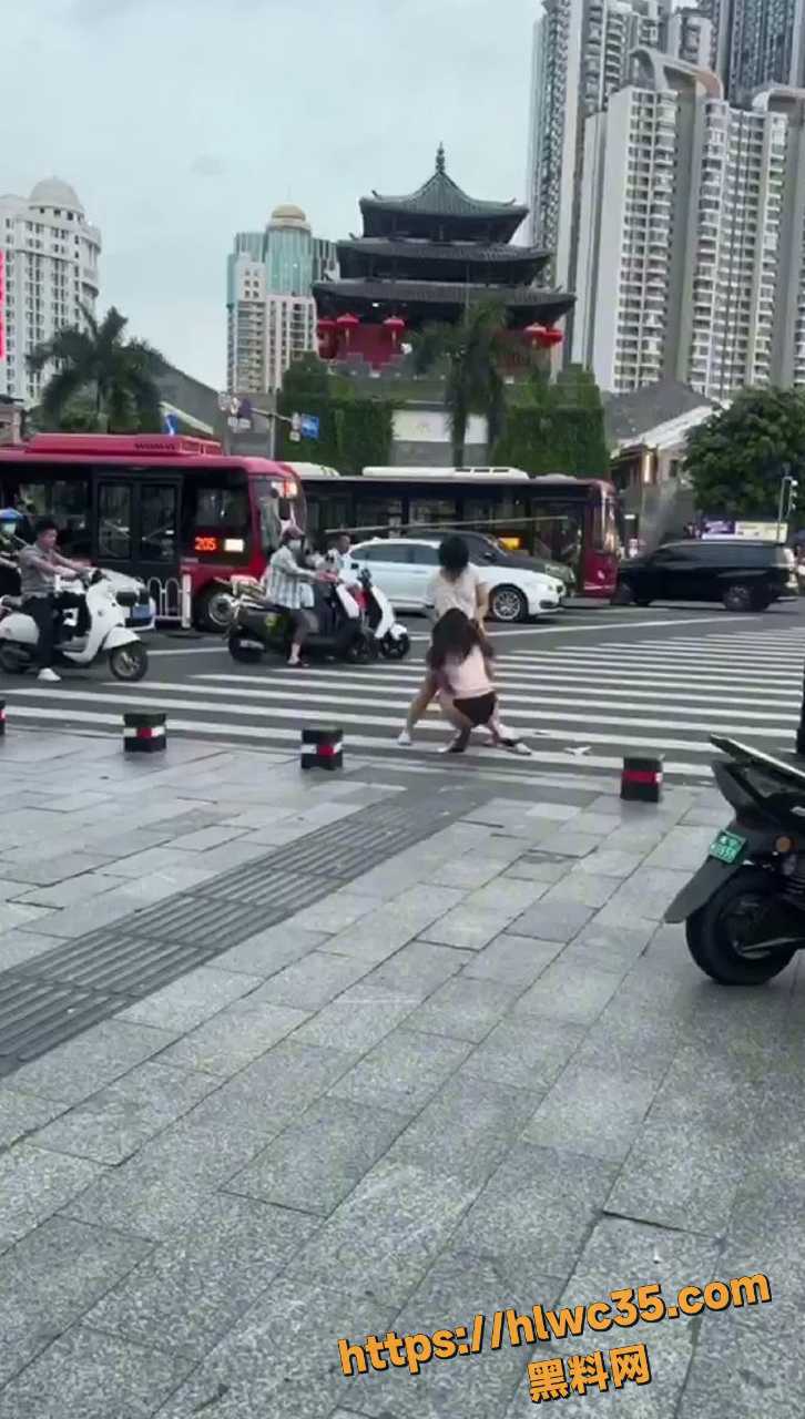 女生当街打架全过程3