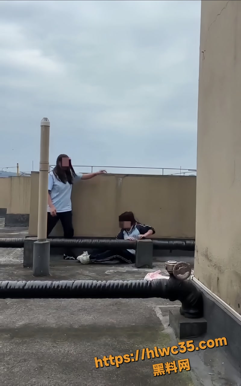 03两女生楼顶推同学险坠楼事件1 3wm