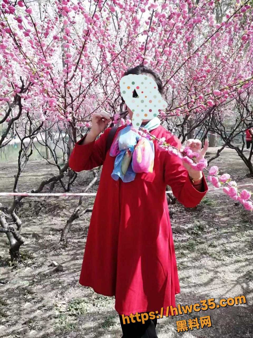 与母缠绵3640集3