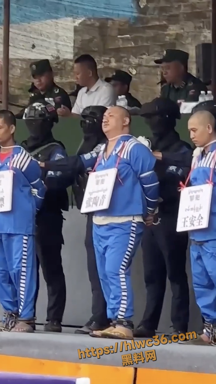 电诈头子张陶青