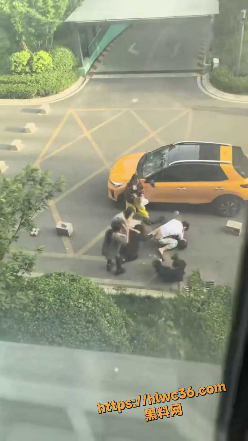 停车场混战现场视频流出 1