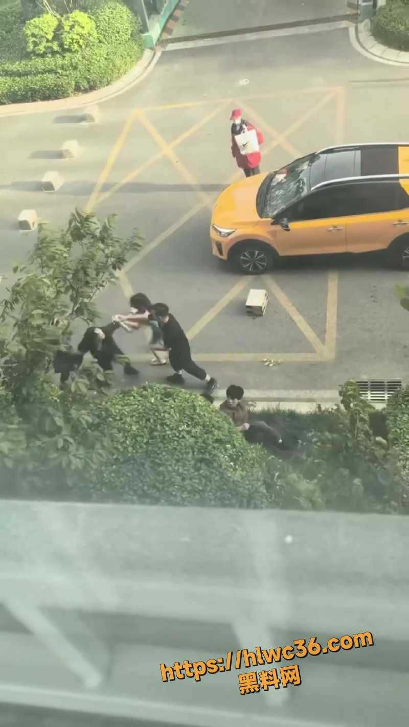 停车场混战现场视频流出 2