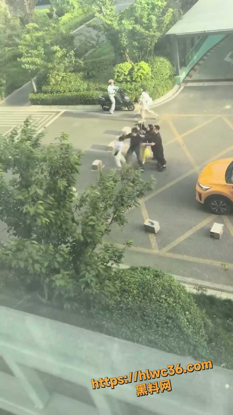 停车场混战现场视频流出 3
