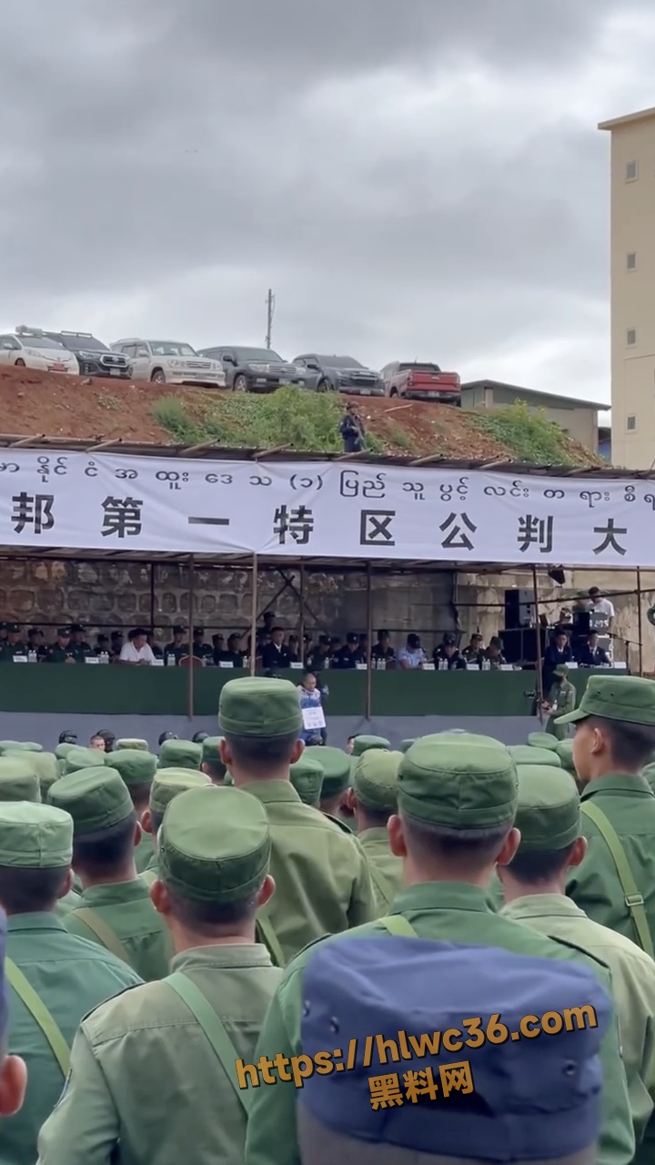 头目张陶青公审