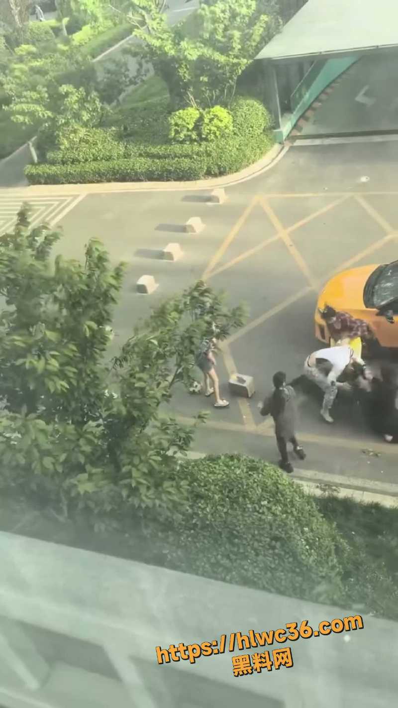 男女混打偷袭事件4
