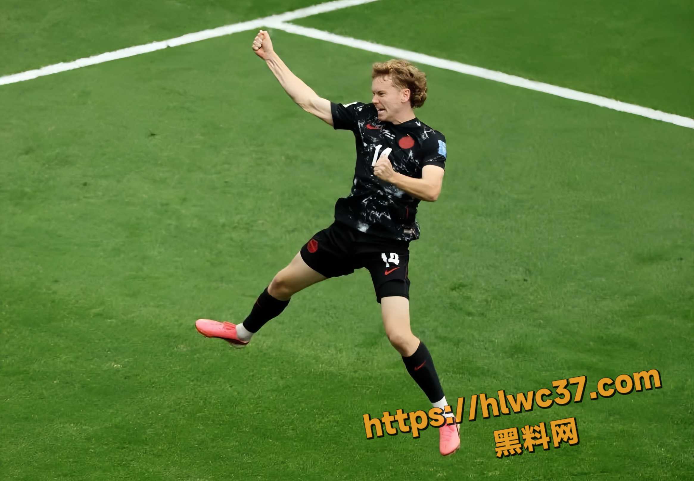 世界杯东道主加拿大7