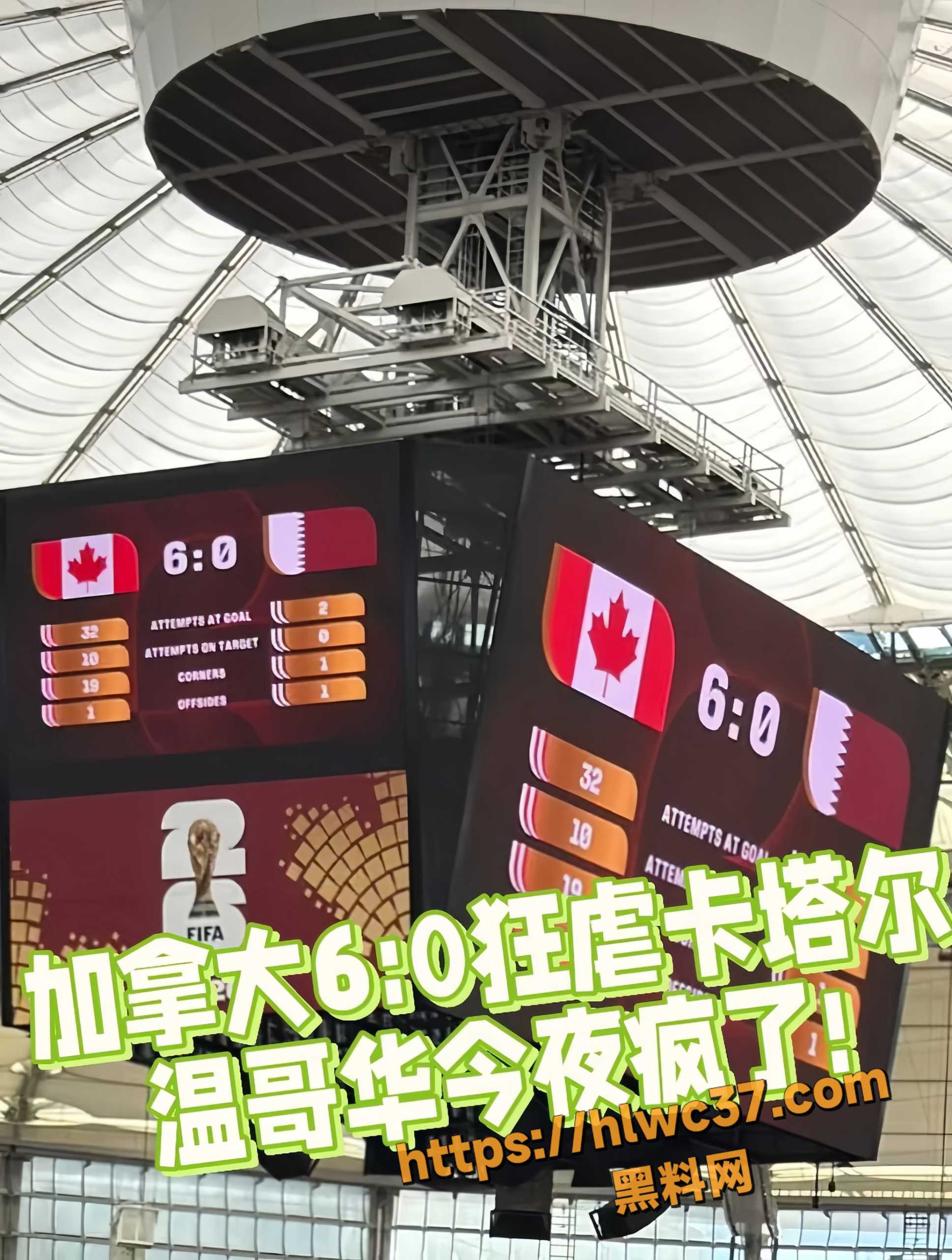加拿大19