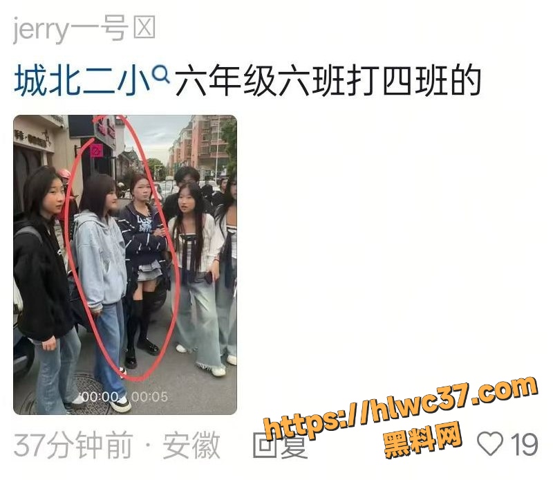 合肥庐江城北二小1
