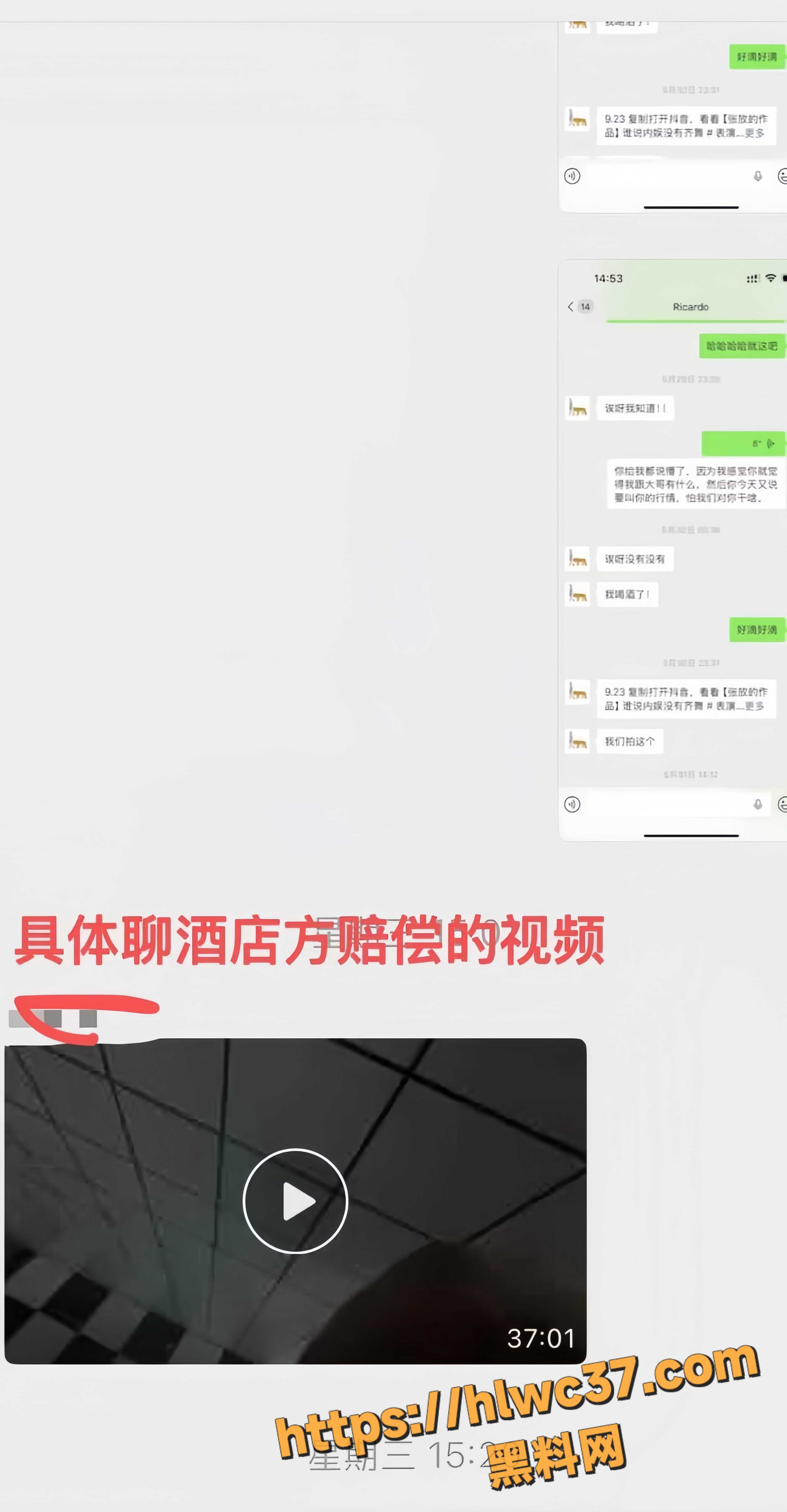 探界领航领队1147