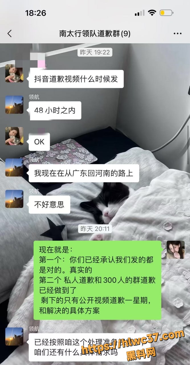 困困睡不醒56