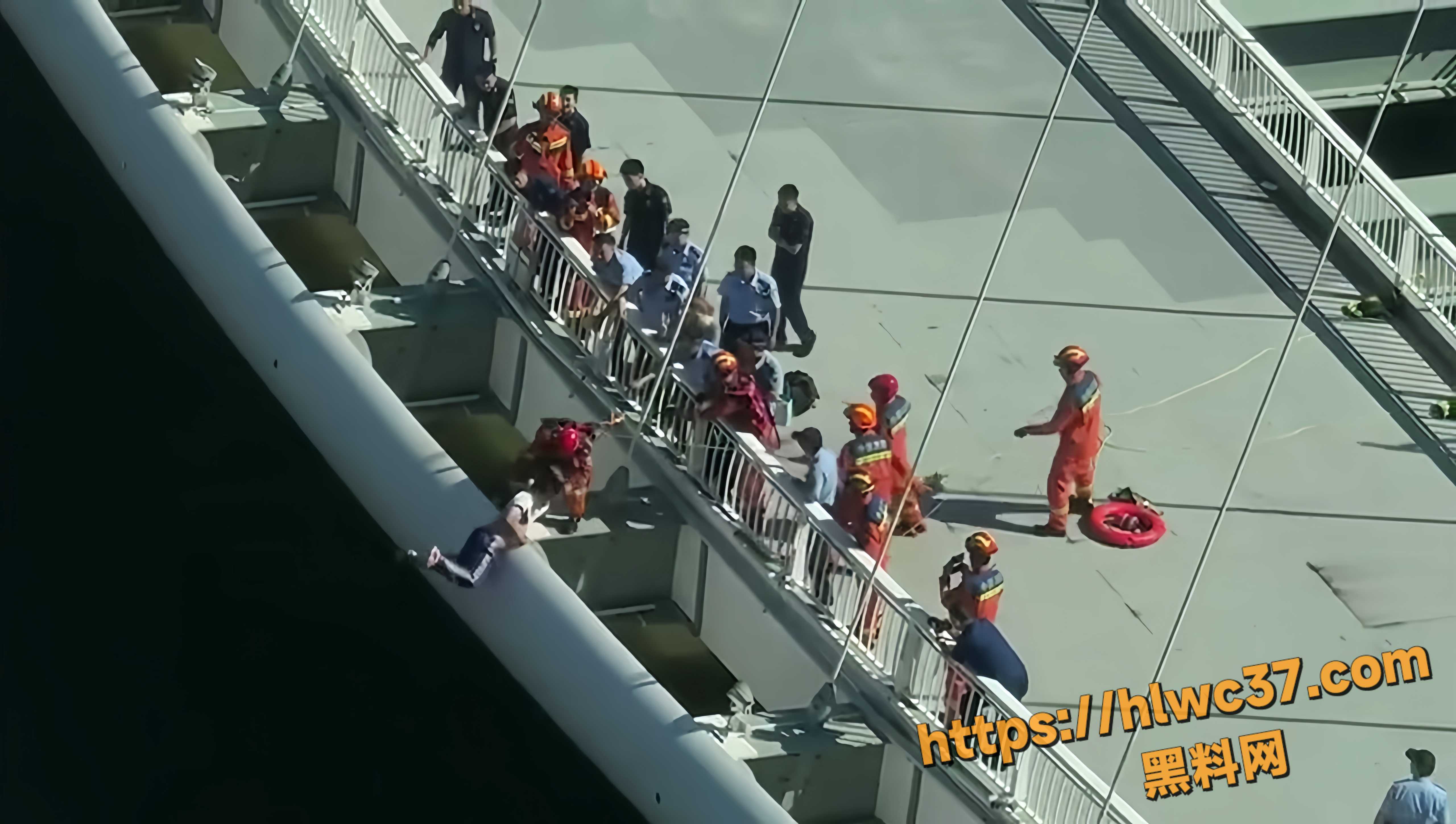 消防员救下跳桥高中生2