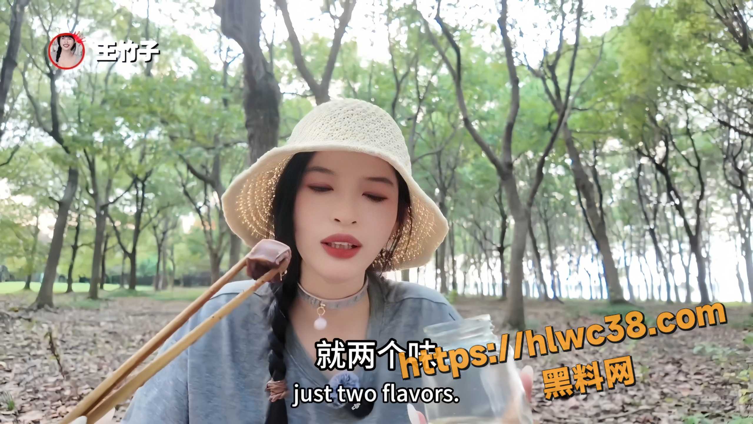 王竹子不雅视频4