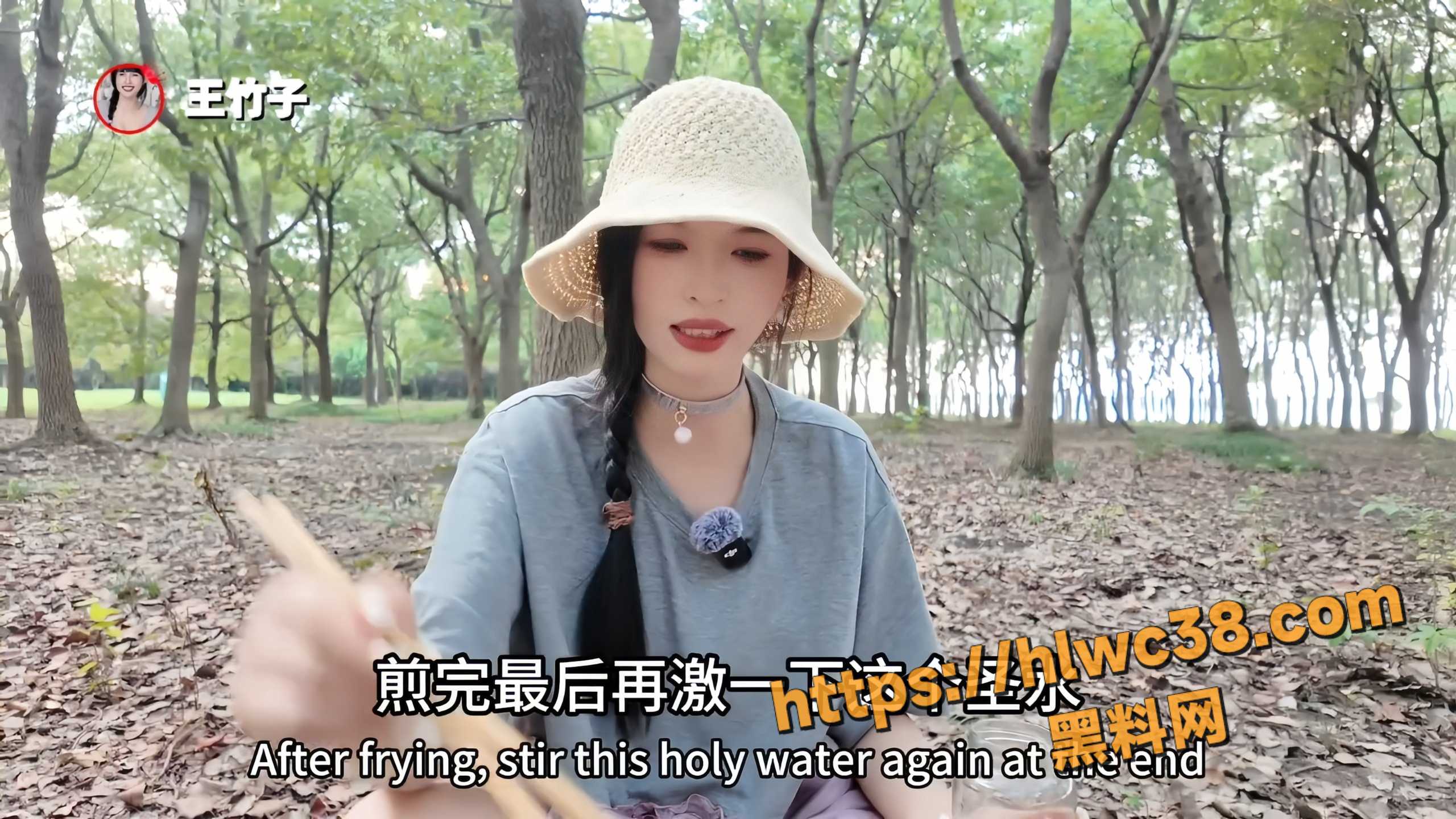 王竹子不雅视频5
