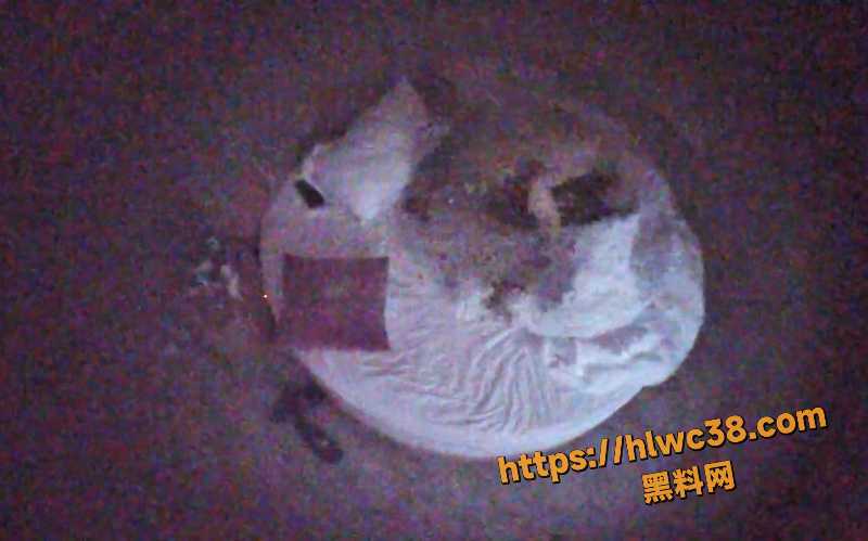 上帝视角最新福利 6