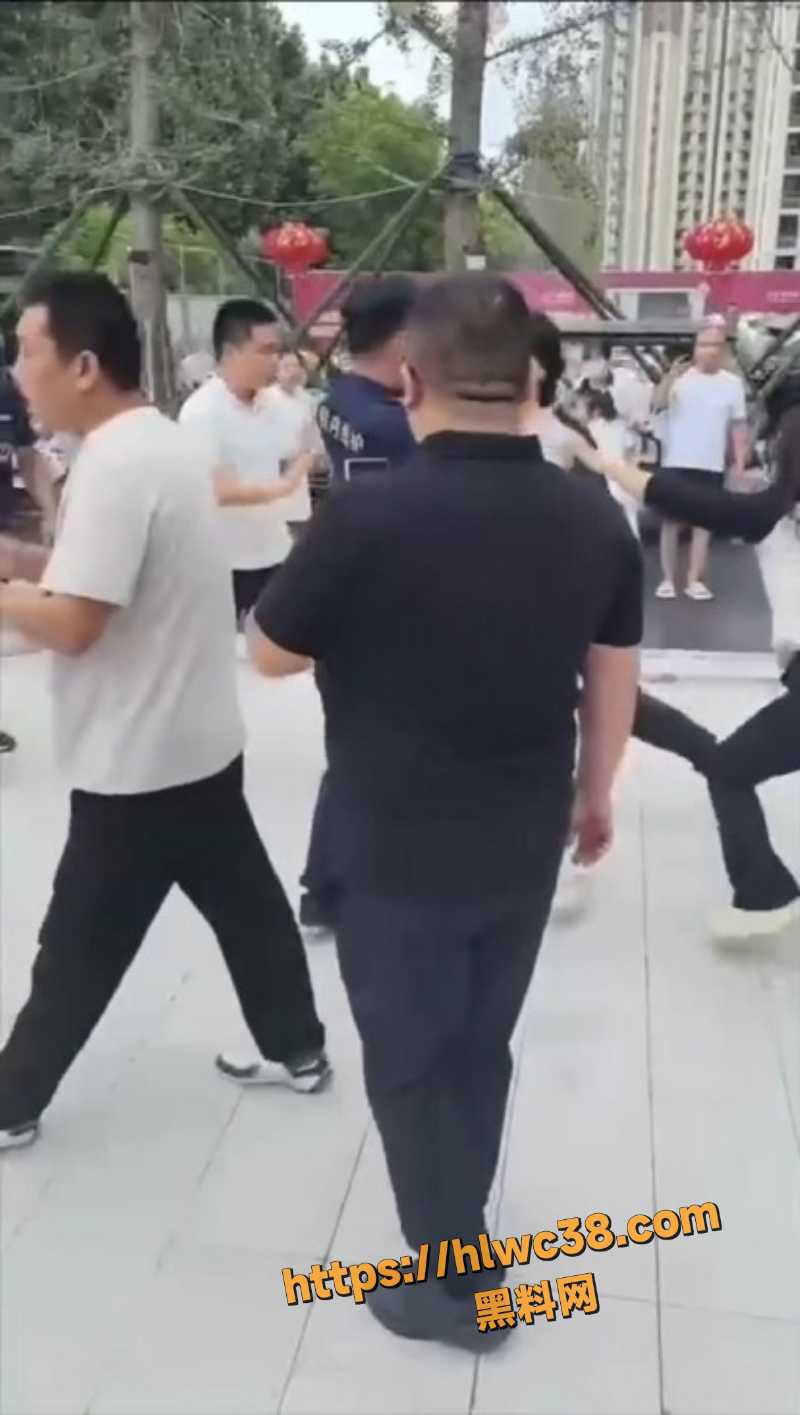 河北保安群殴业主现场视频1