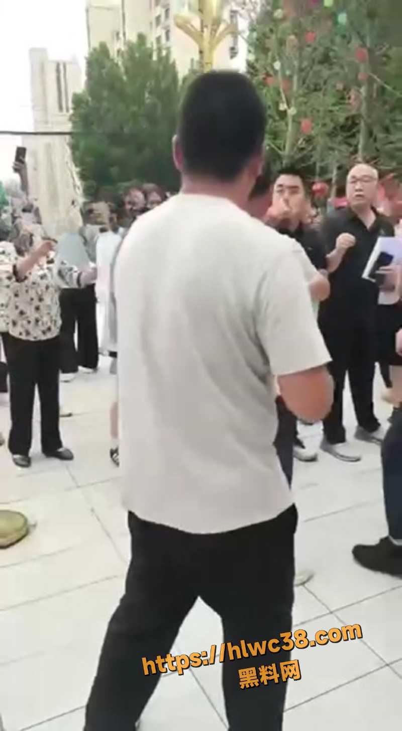 河北保安群殴业主现场视频2