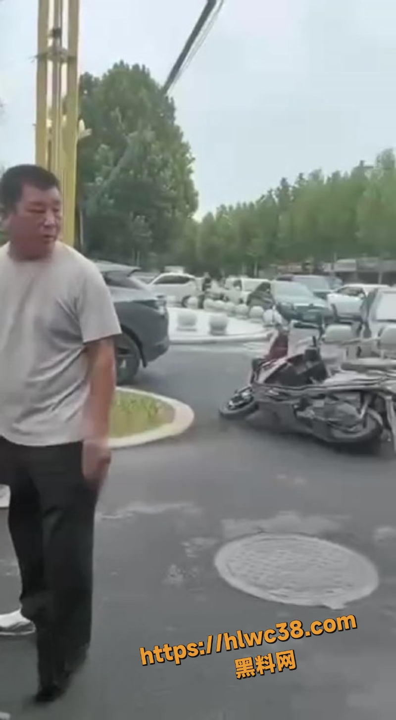 金天凤凰城纠纷视频4