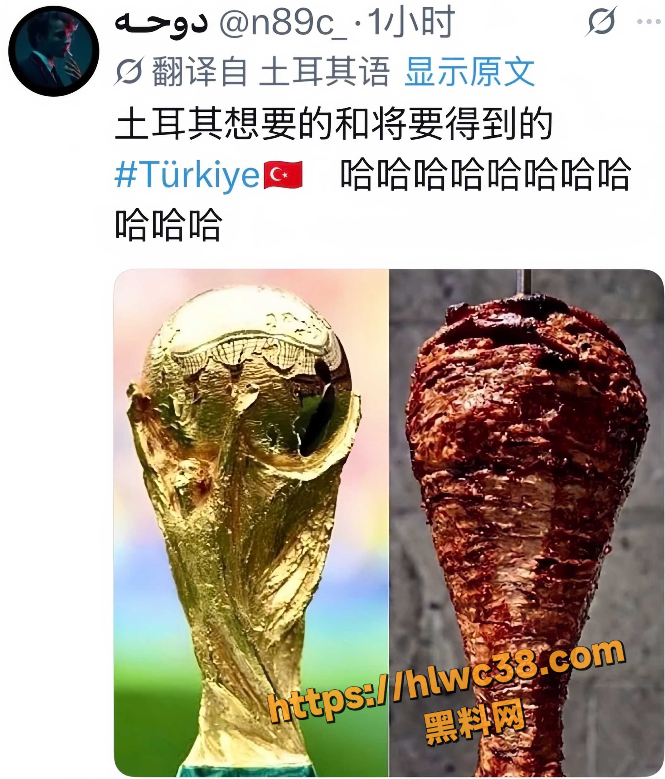 世界杯17