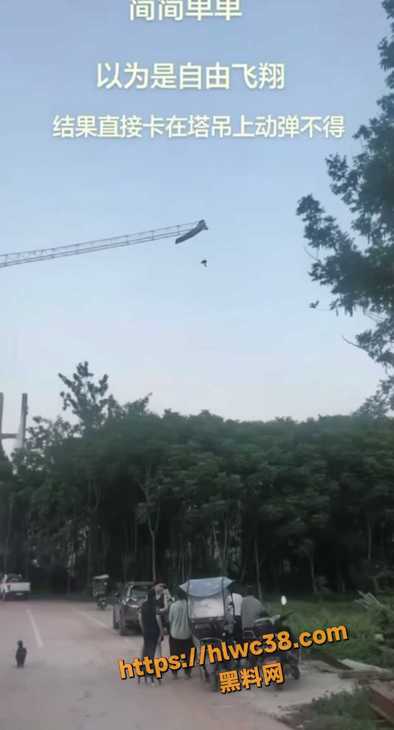 四川男子高空悬停救援1