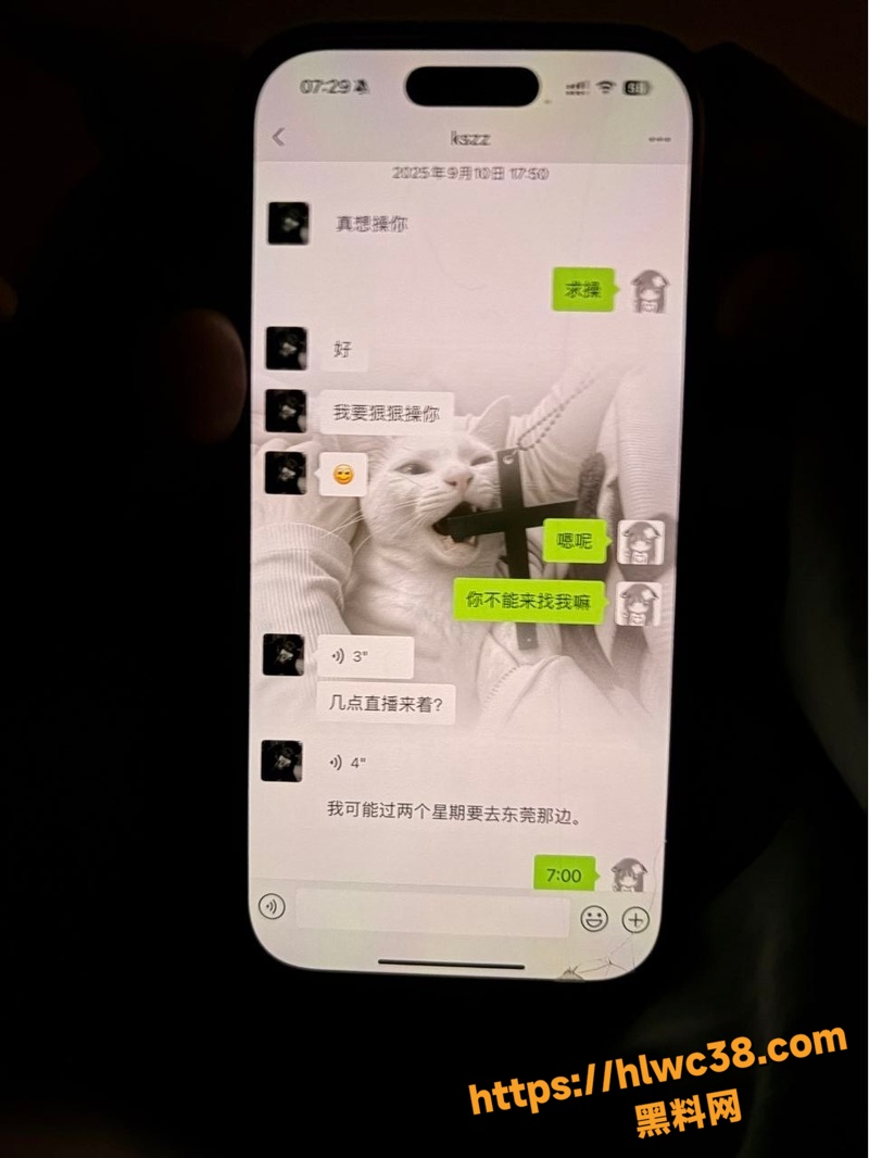 江苏高颜值母狗贾湘做爱7