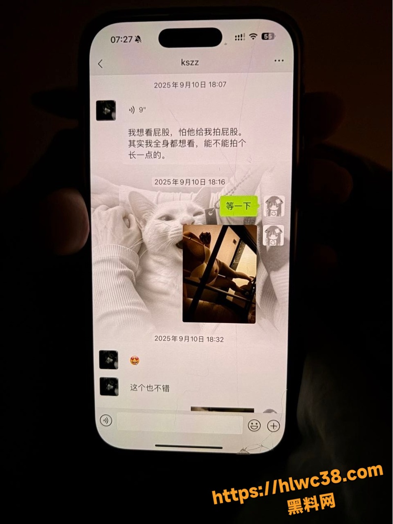 江苏高颜值母狗贾湘做爱9