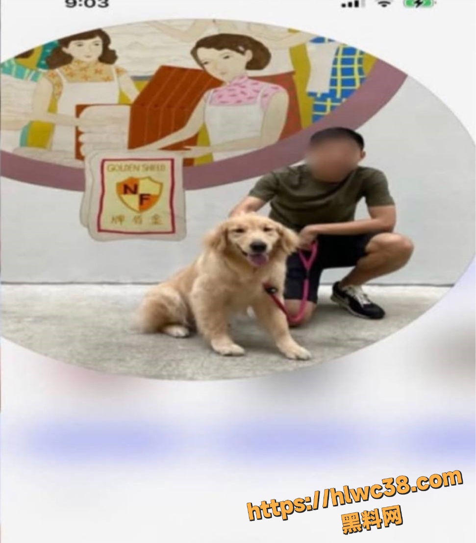 Tiffany偷情视频9