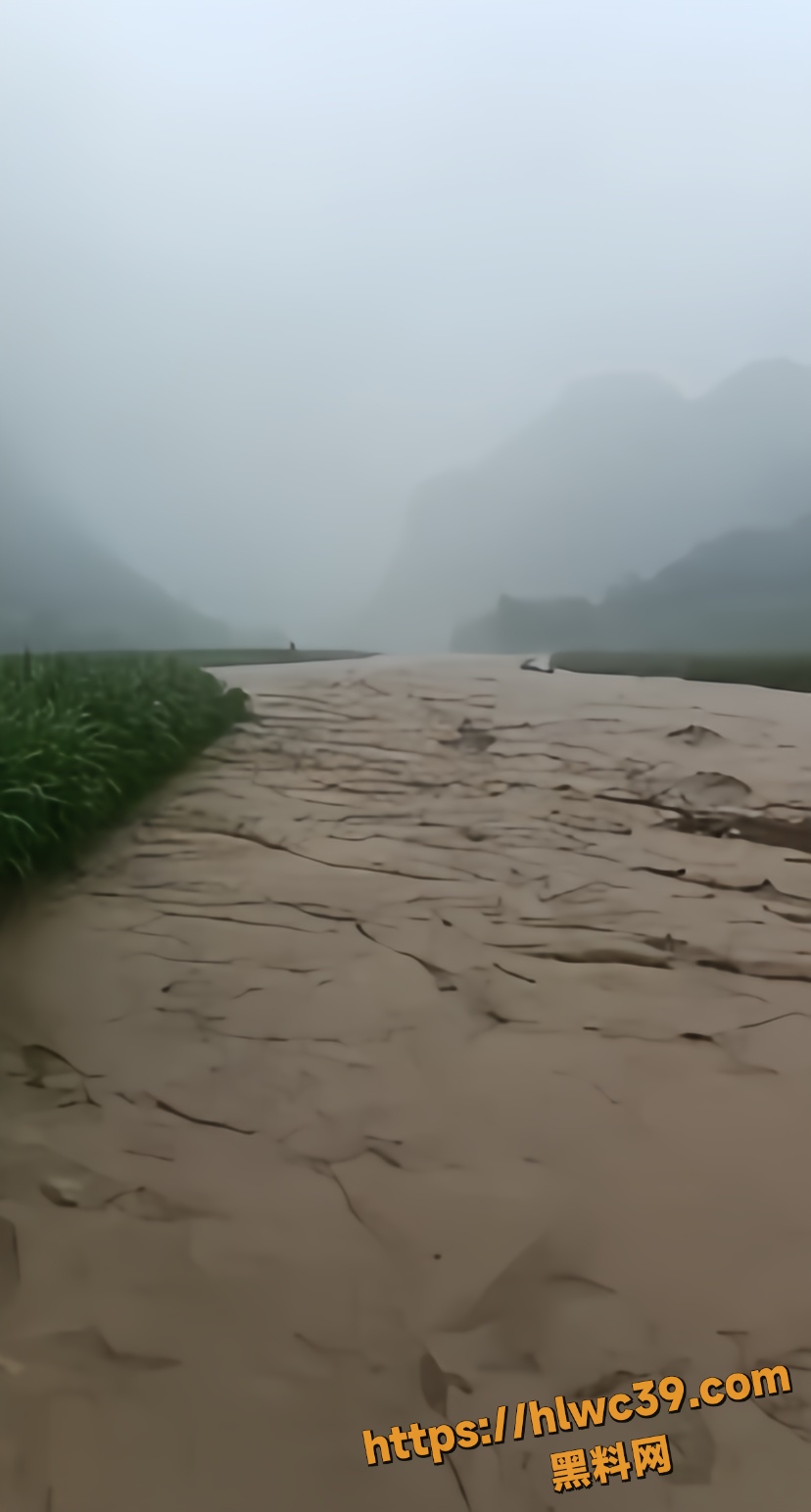 广西东兰县那亨屯洪水事件1