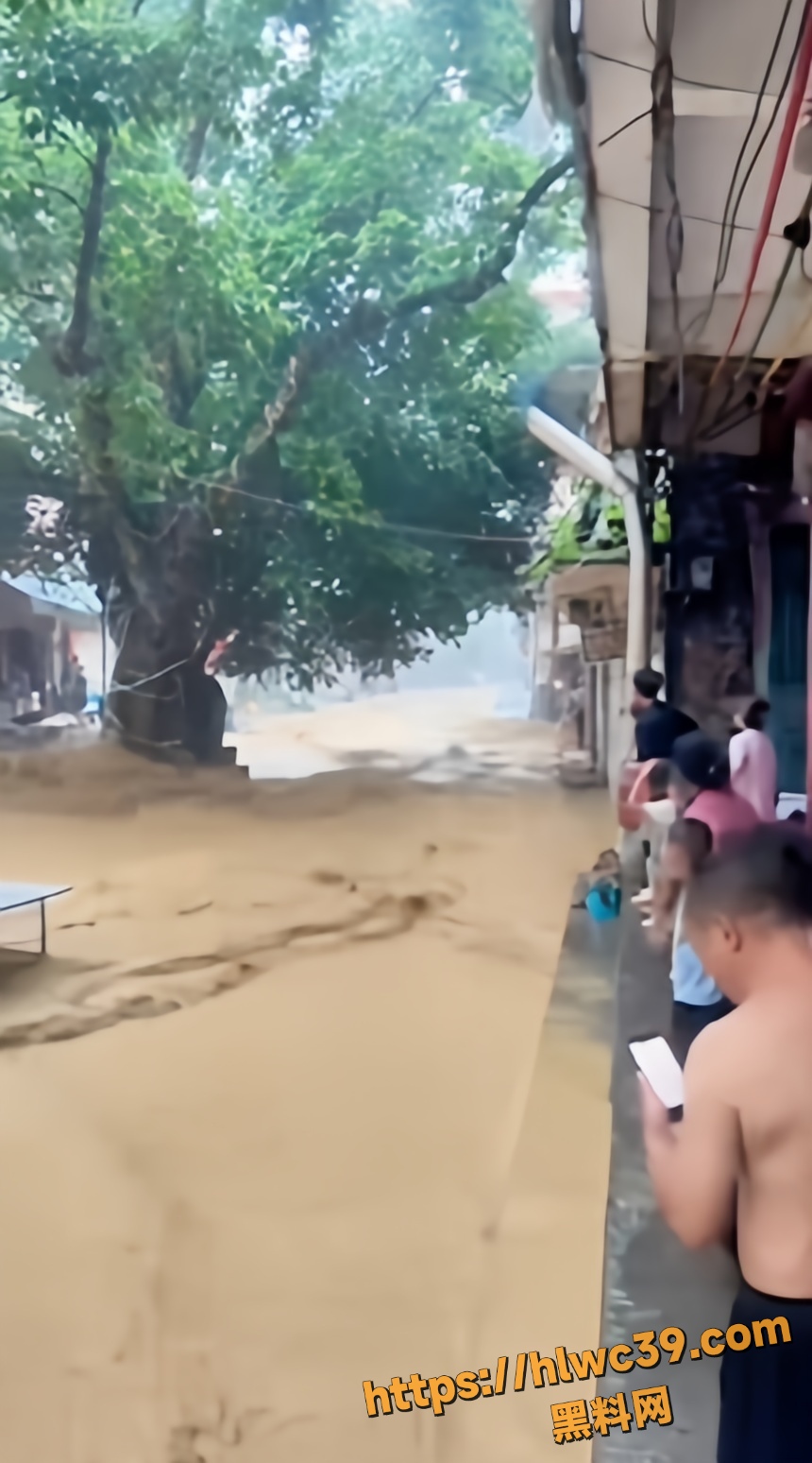 消防员洪水中救援视频2