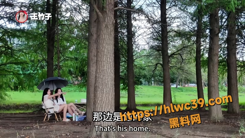 04王竹子1 4wm