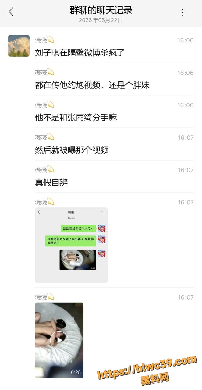 刘子琪约炮视频13