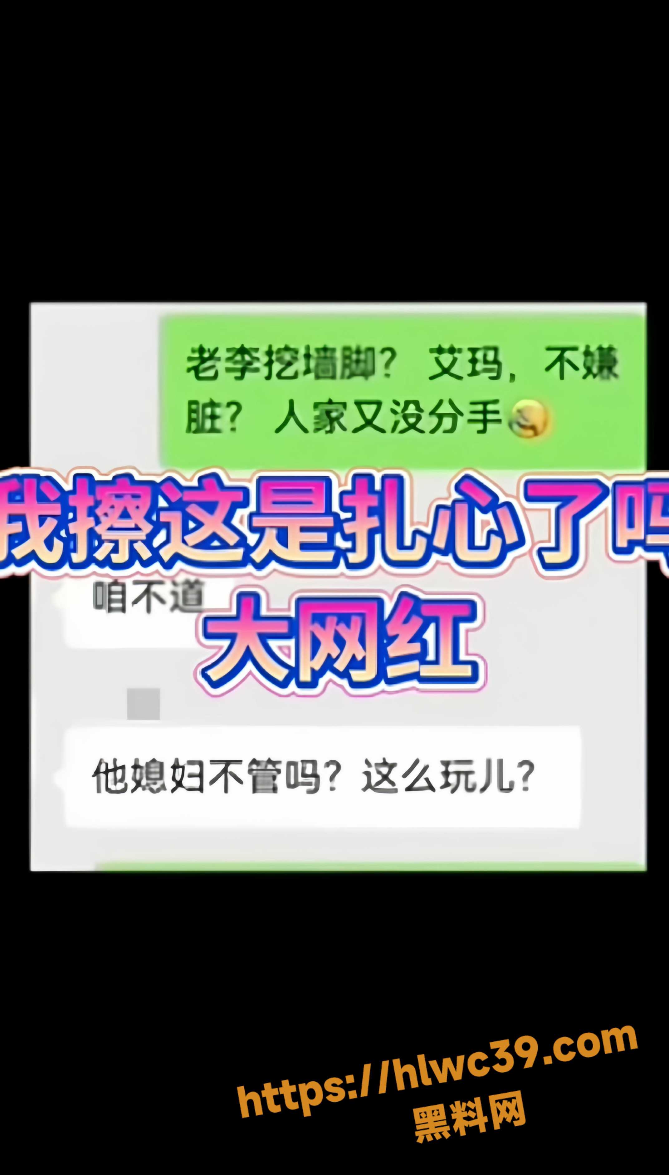 清河李哥出轨不雅视频16