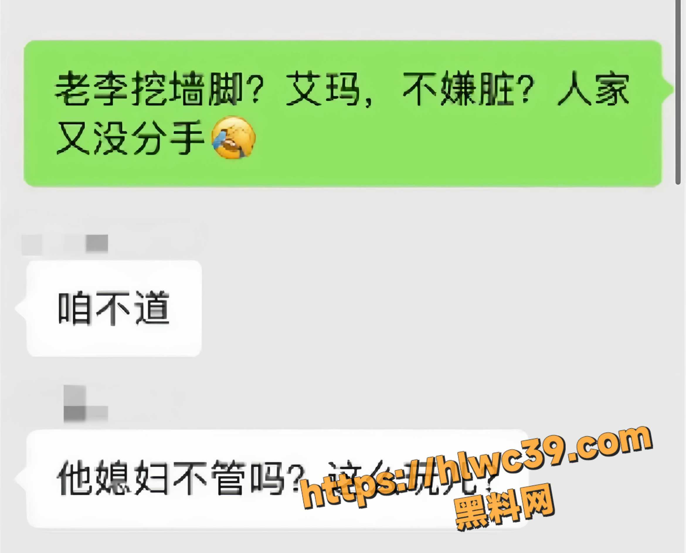 清河李哥出轨不雅视频19