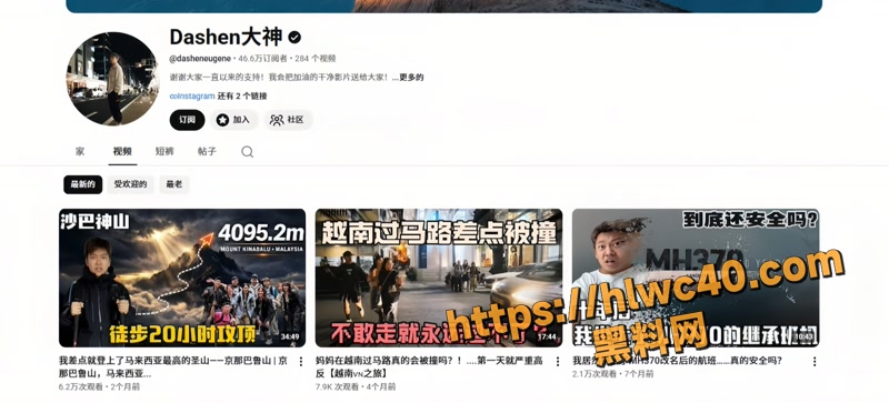 02YouTube博主大神2 2wm