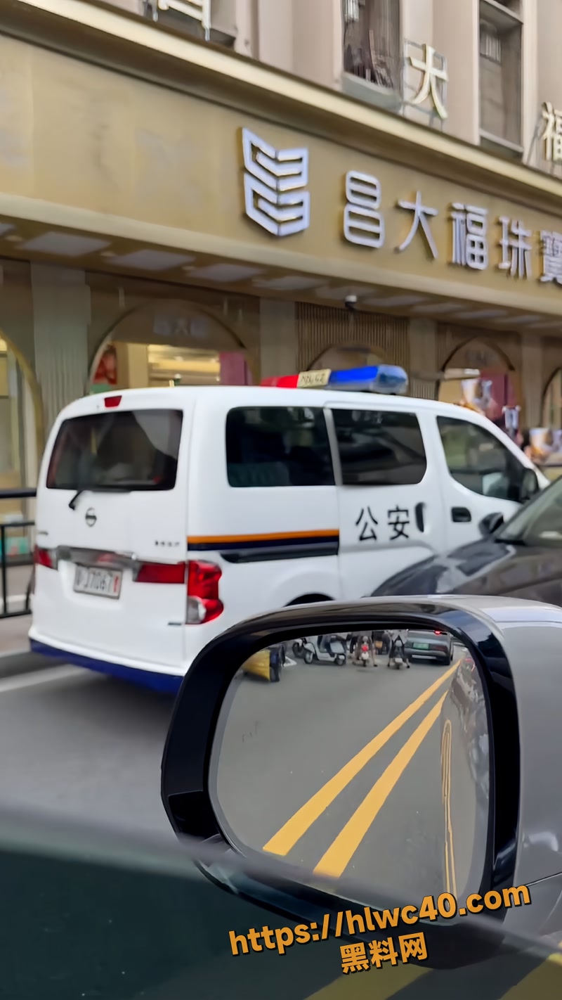 03江门珠宝店老板杀人事件1 3wm