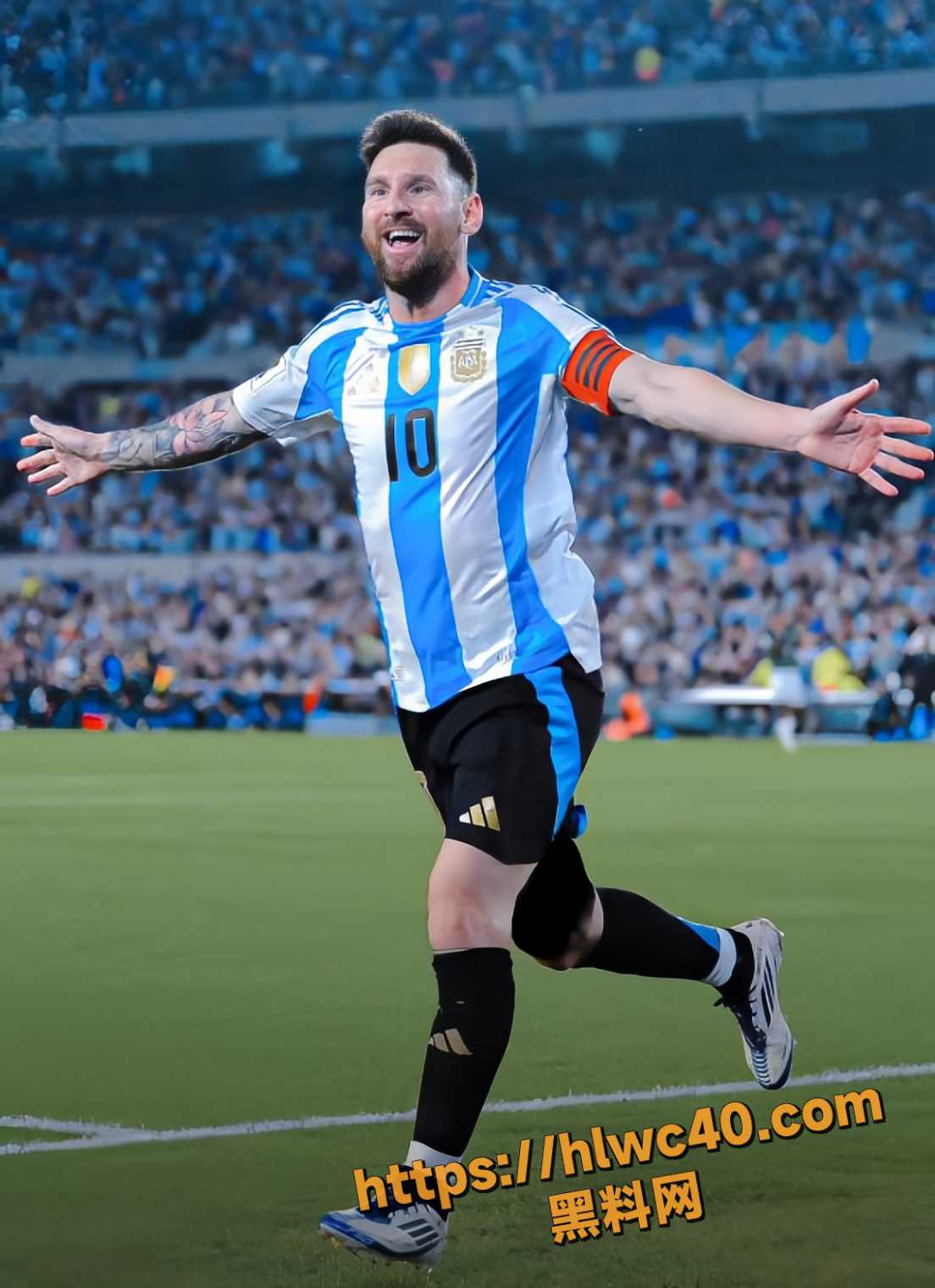 2026美加墨世界杯1