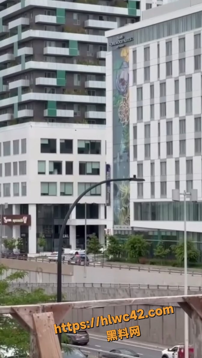 蒙特利尔 4