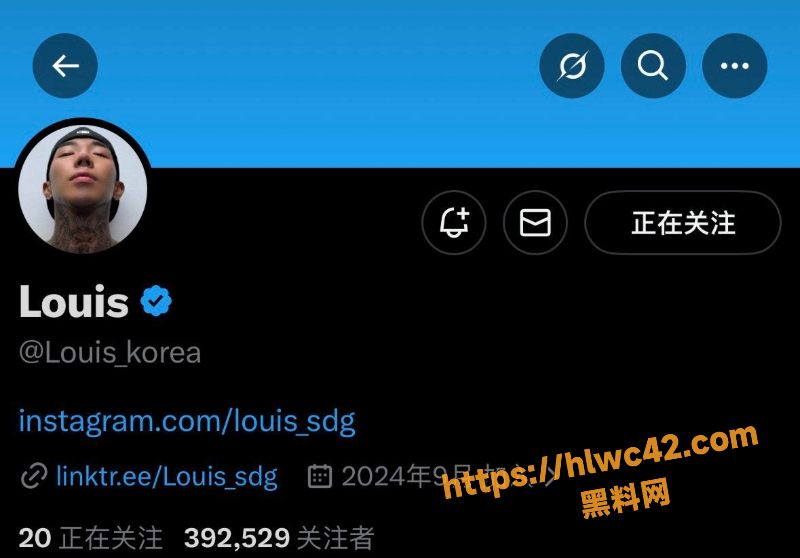 Louiskorea携带毒品被捕事件1