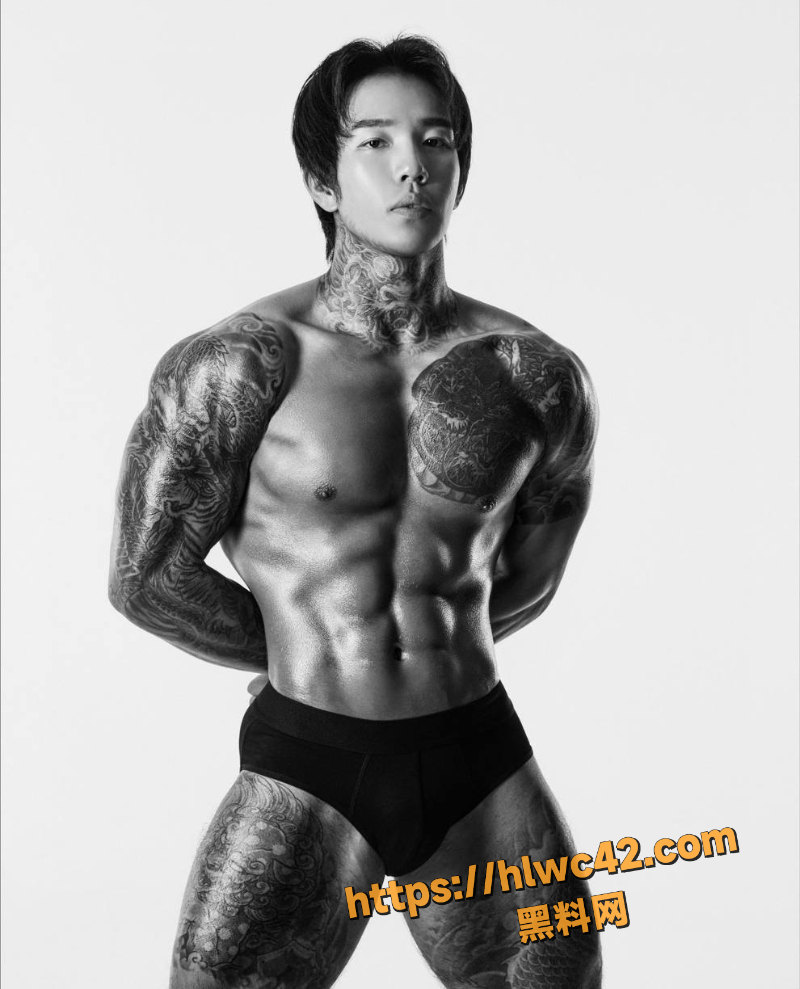 Louiskorea携带毒品被捕事件2