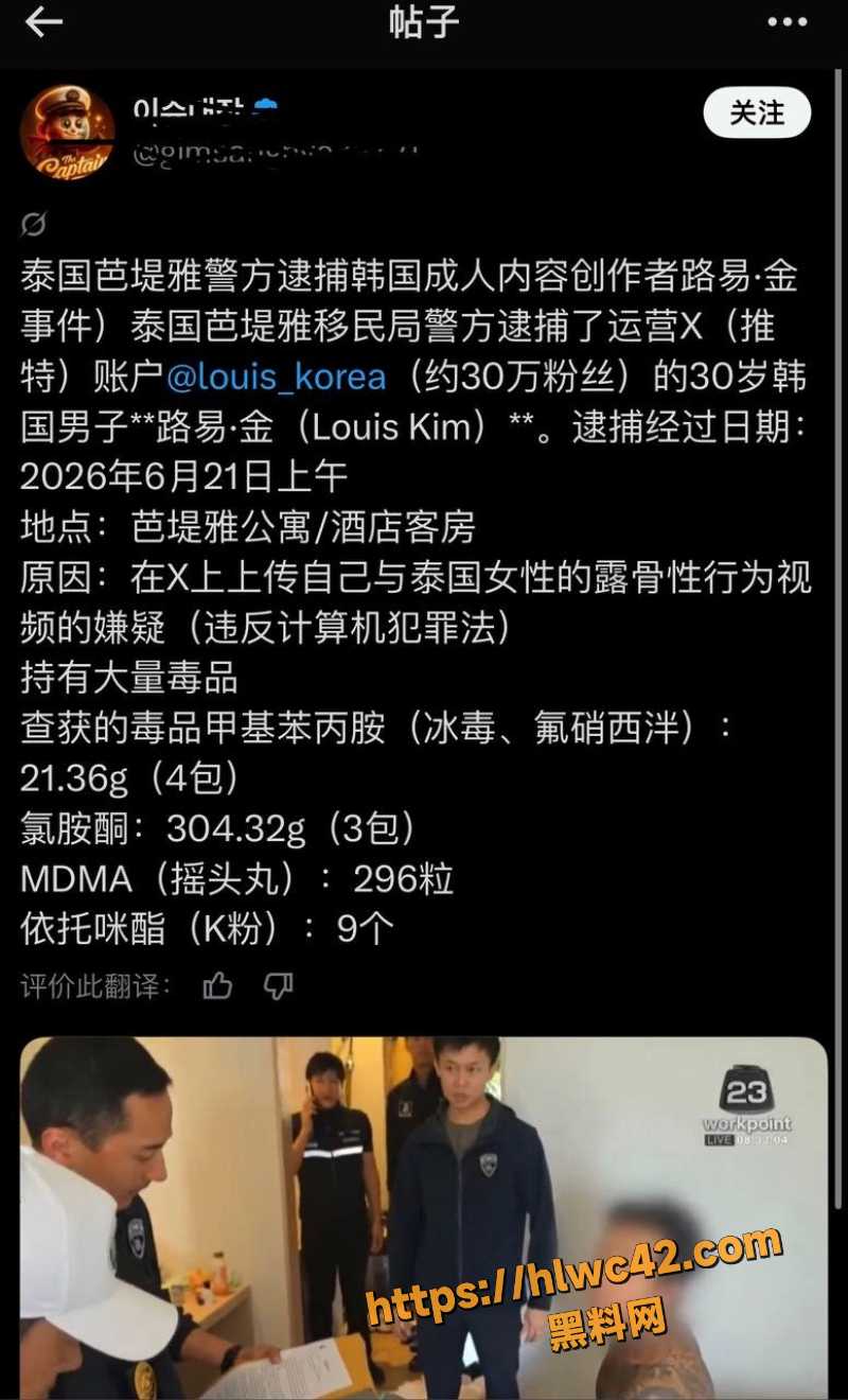 Louiskorea男同性爱视频  6