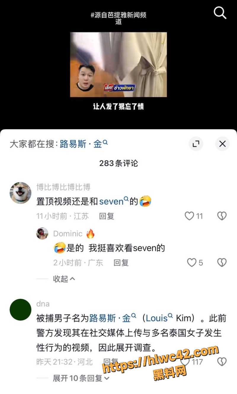 Louiskorea在泰国落网事件11