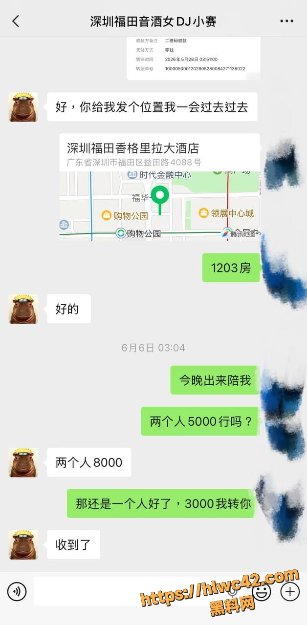 女DJ小赛乱伦视频7