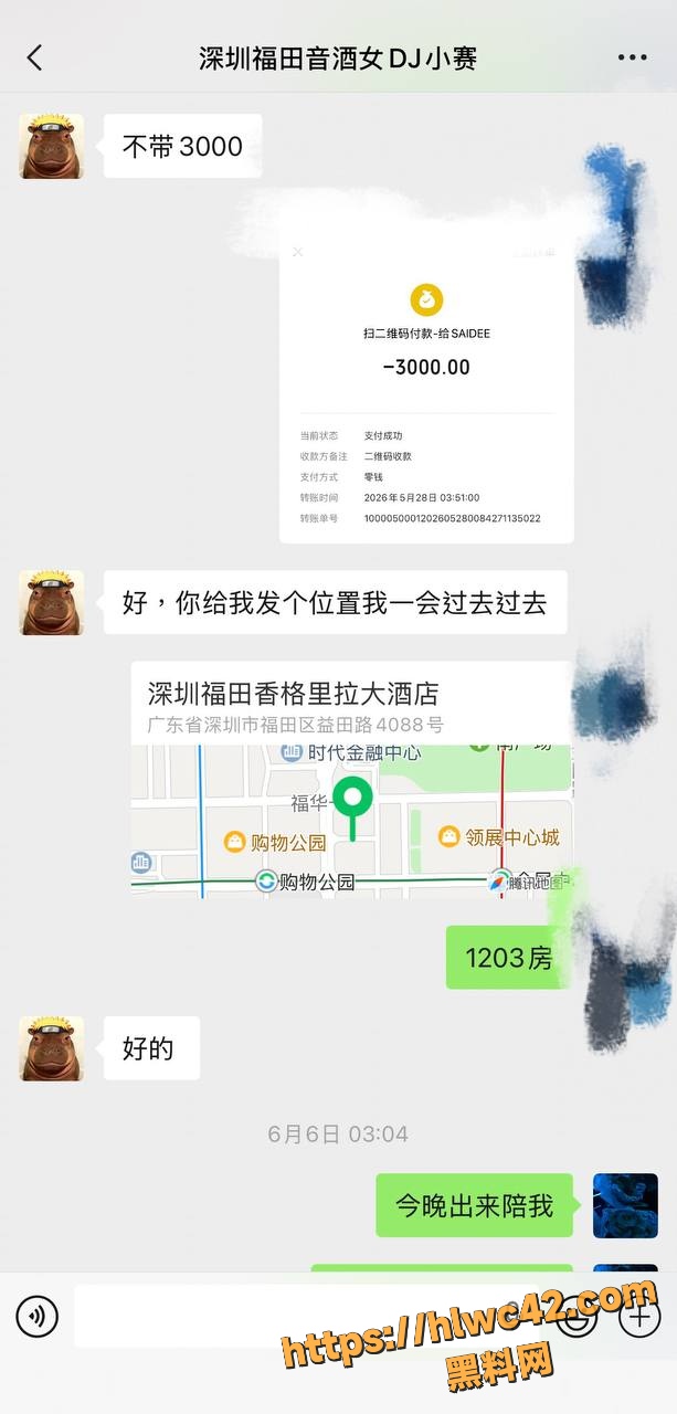 女DJ小赛乱伦视频8