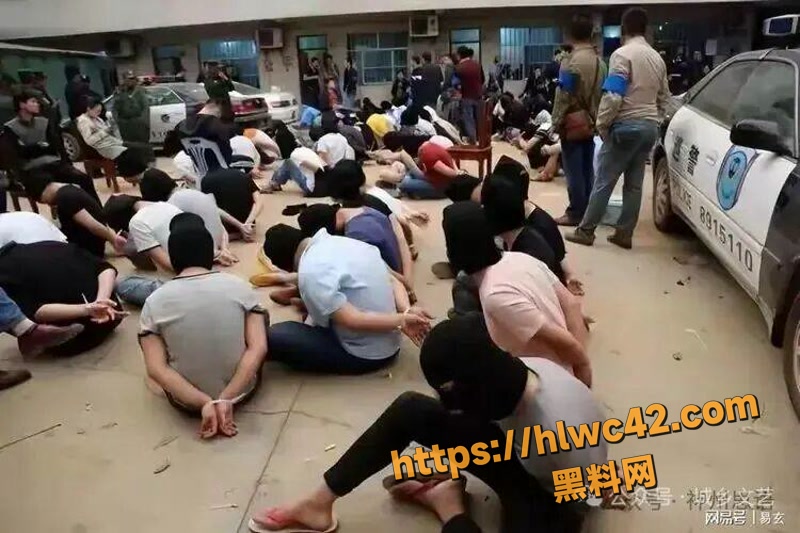 19芒果园区3 2wm