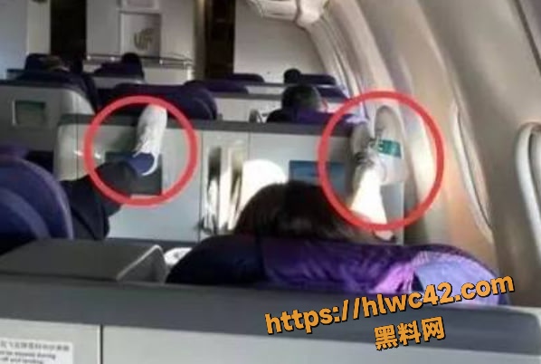 考拉打脸妈妈