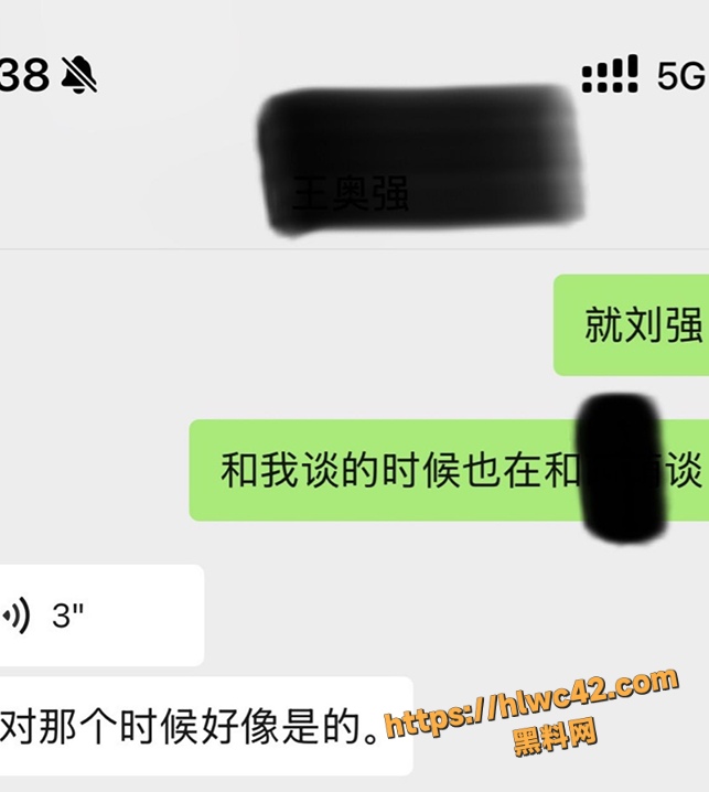 资阳女主怒撕刘强43条理由 1