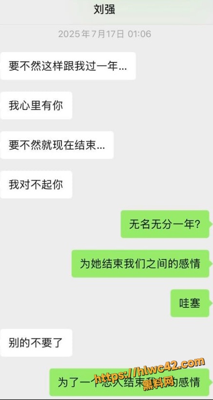 资阳女主怒撕刘强43条理由 4