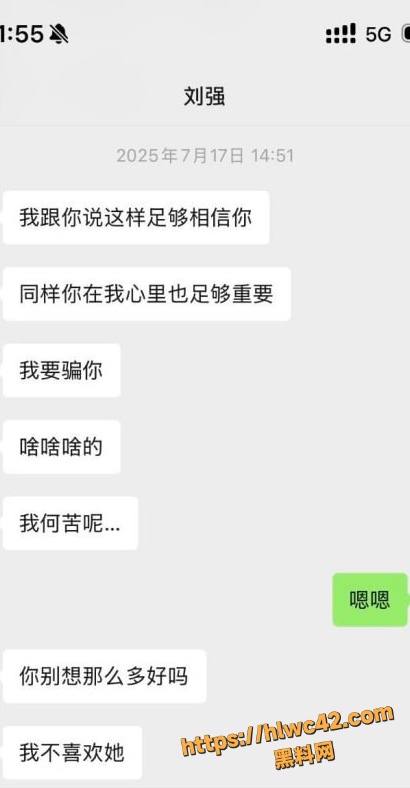 资阳女主怒撕刘强43条理由 8